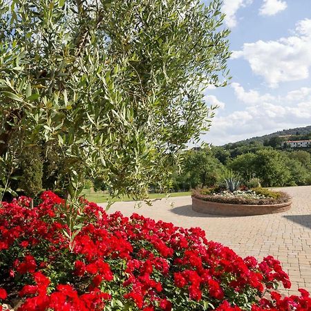 Вилла Poggio Pellicciaia Ареццо Экстерьер фото